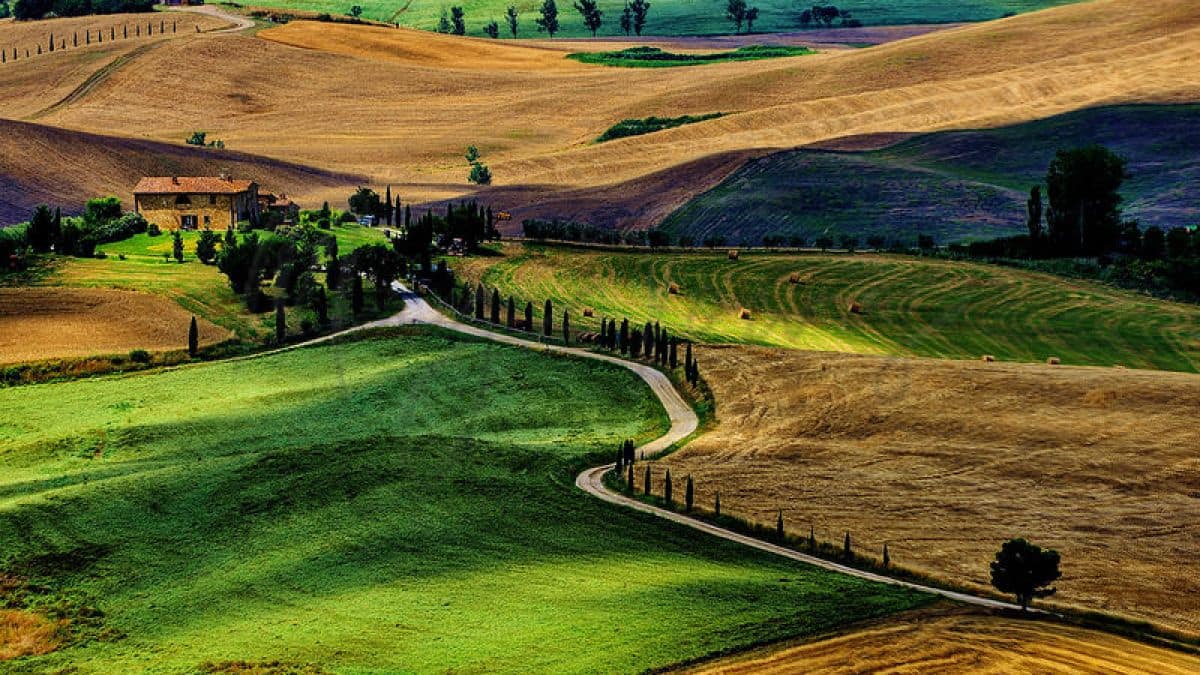 Villorba