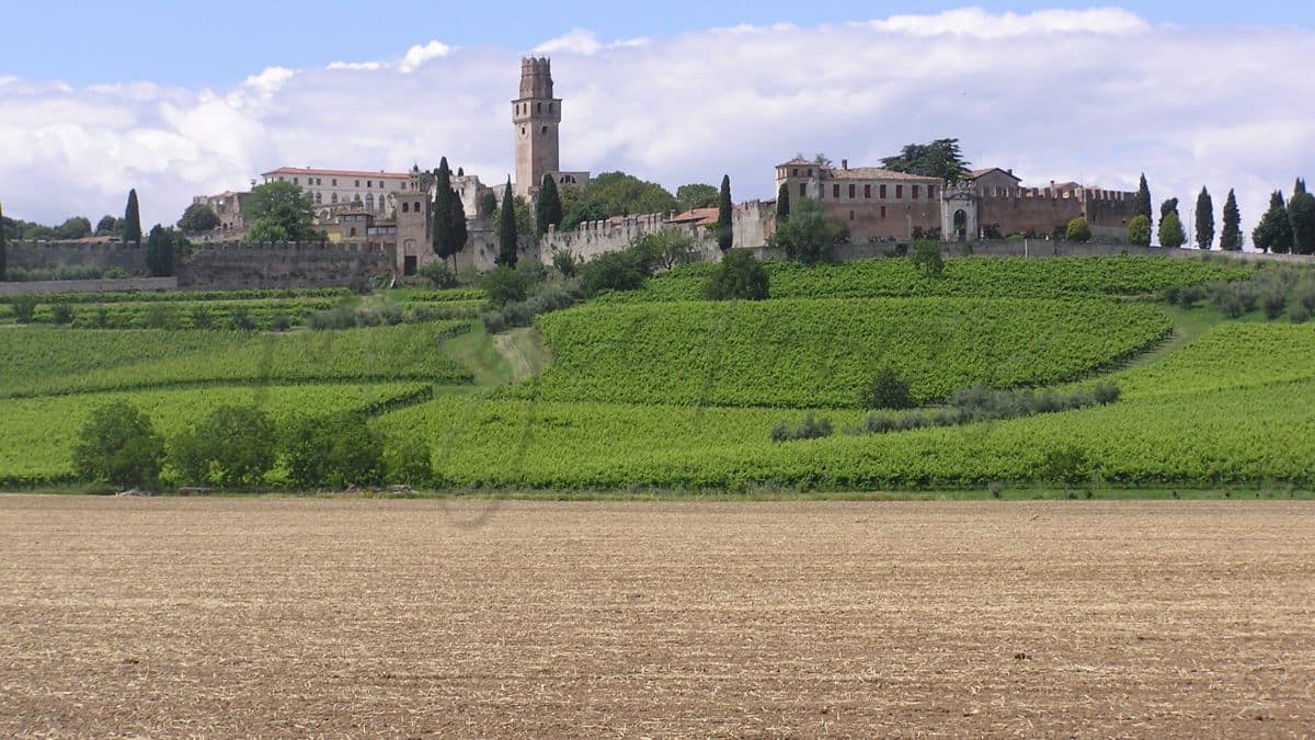 Susegana