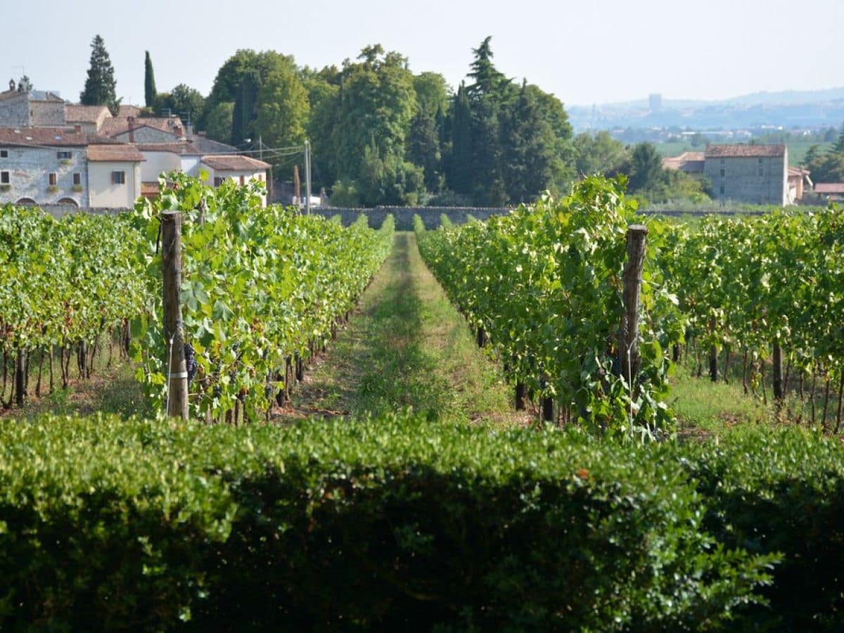 Sant'Ambrogio di Valpolicella