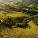 Farming In Italy: (Just) Quality Produce Or A New Life For Expats? 8 Credits: bernd 📷 dittrich, unsplash