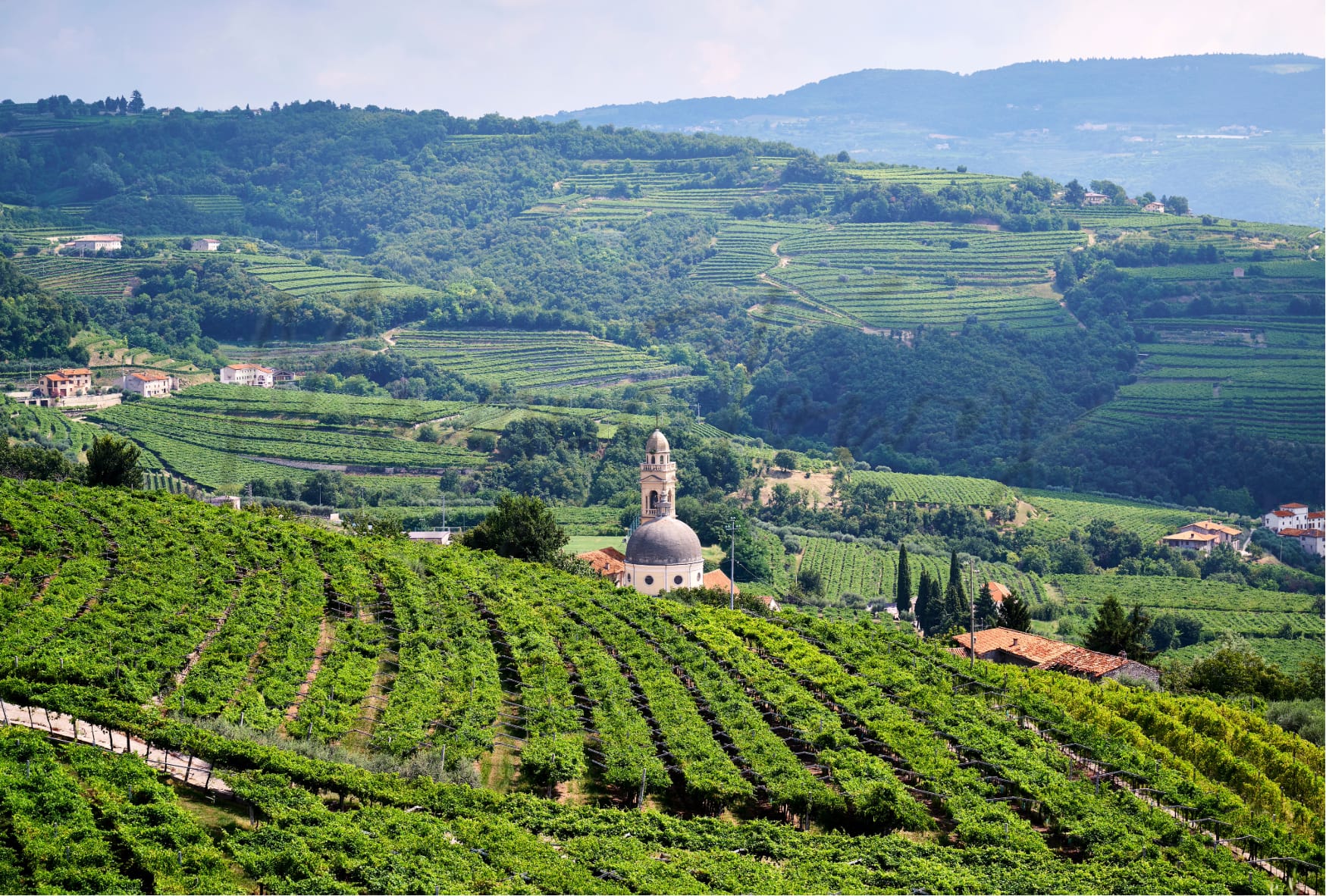 5-italian-towns-among-the-vineyards-summer
