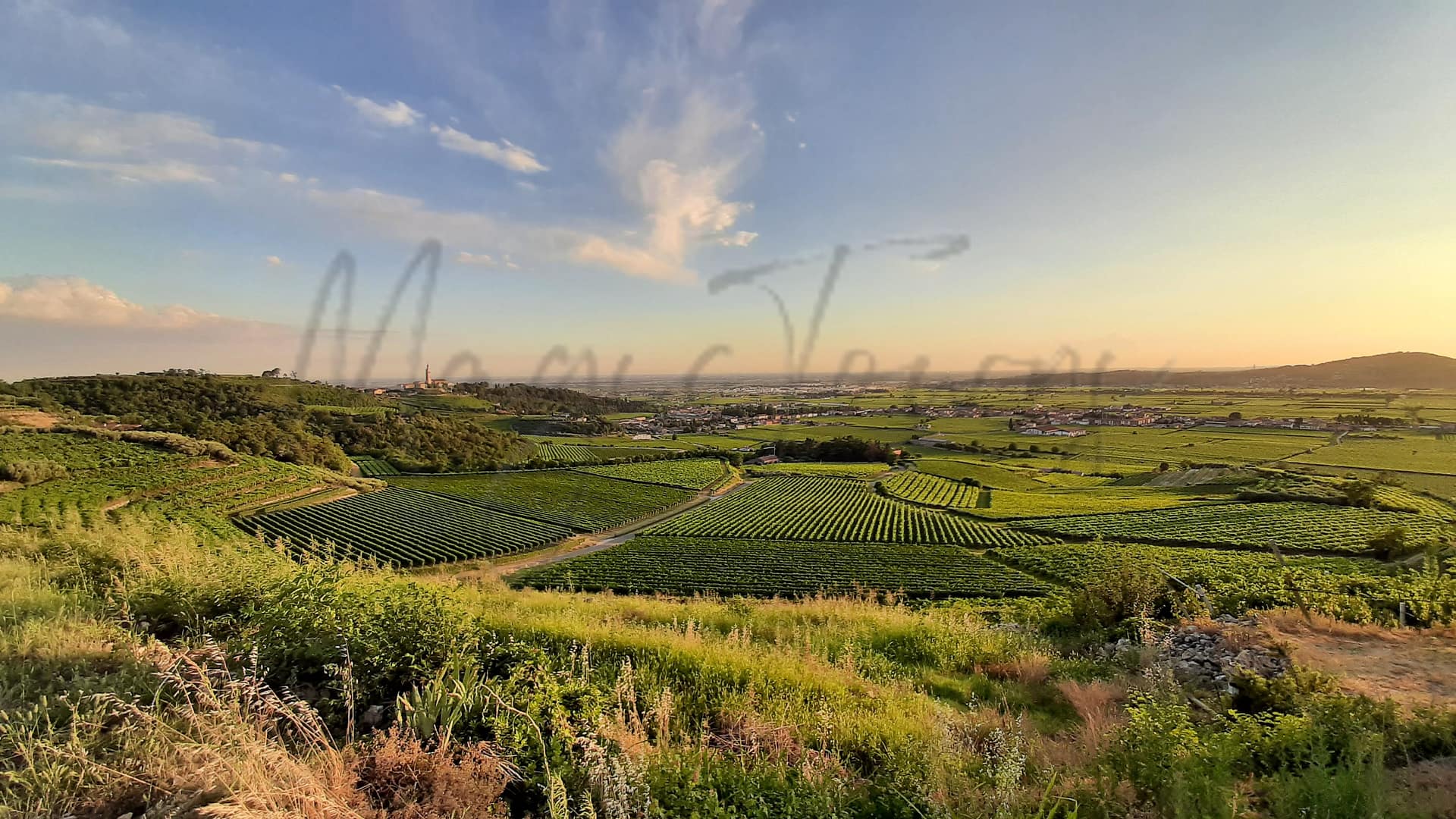 colognola-ai-colli-veneto-italy