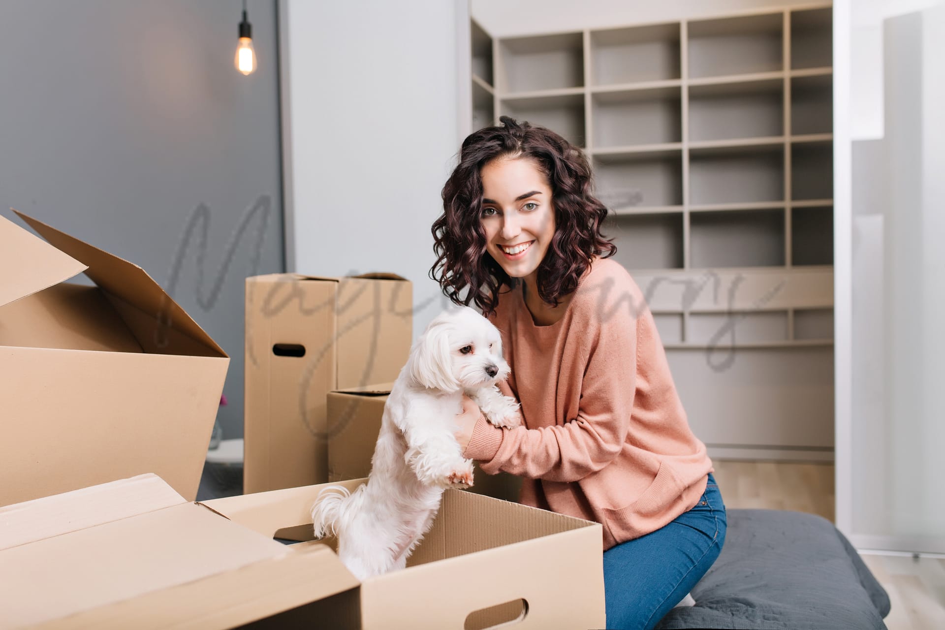 a-quick-guide-to-moving-your-pets-to-italy