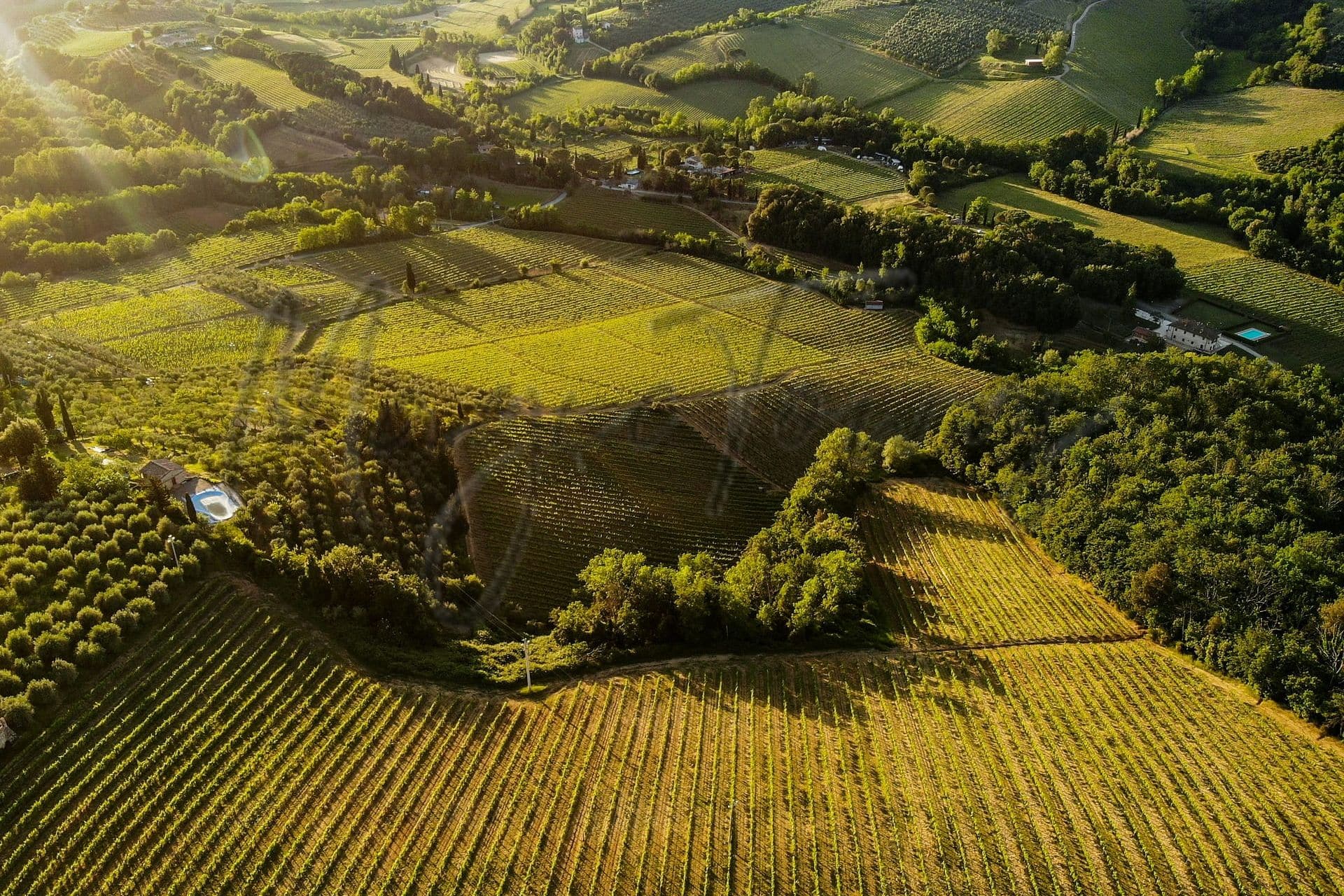 Farming In Italy: (Just) Quality Produce Or A New Life For Expats? 12 Farming in italy