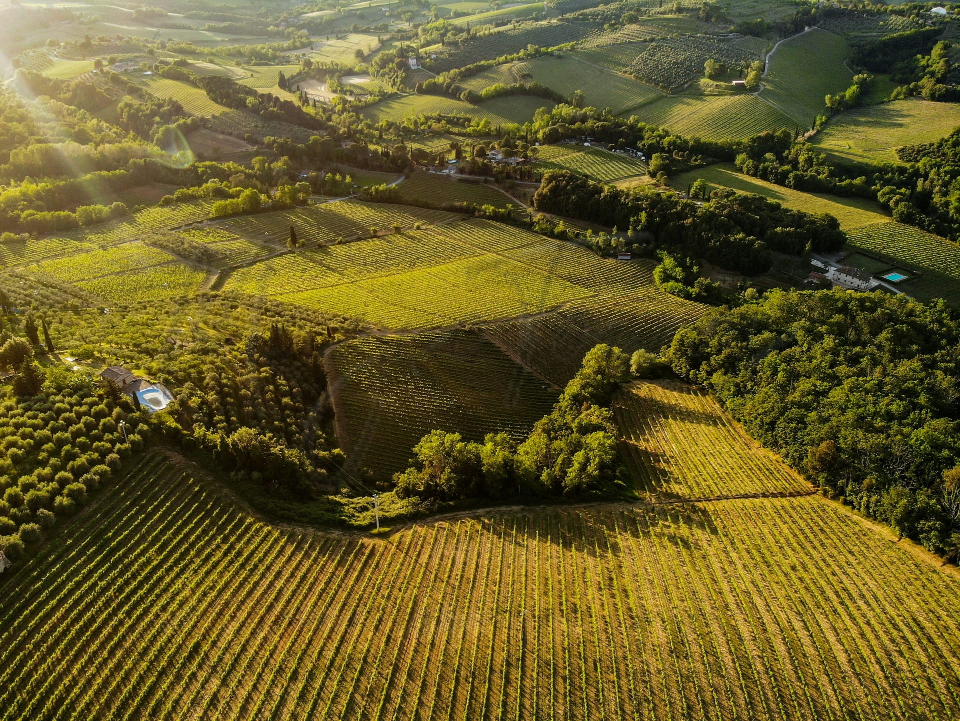landbrug-i-italien-guide-produktion-udlændinge