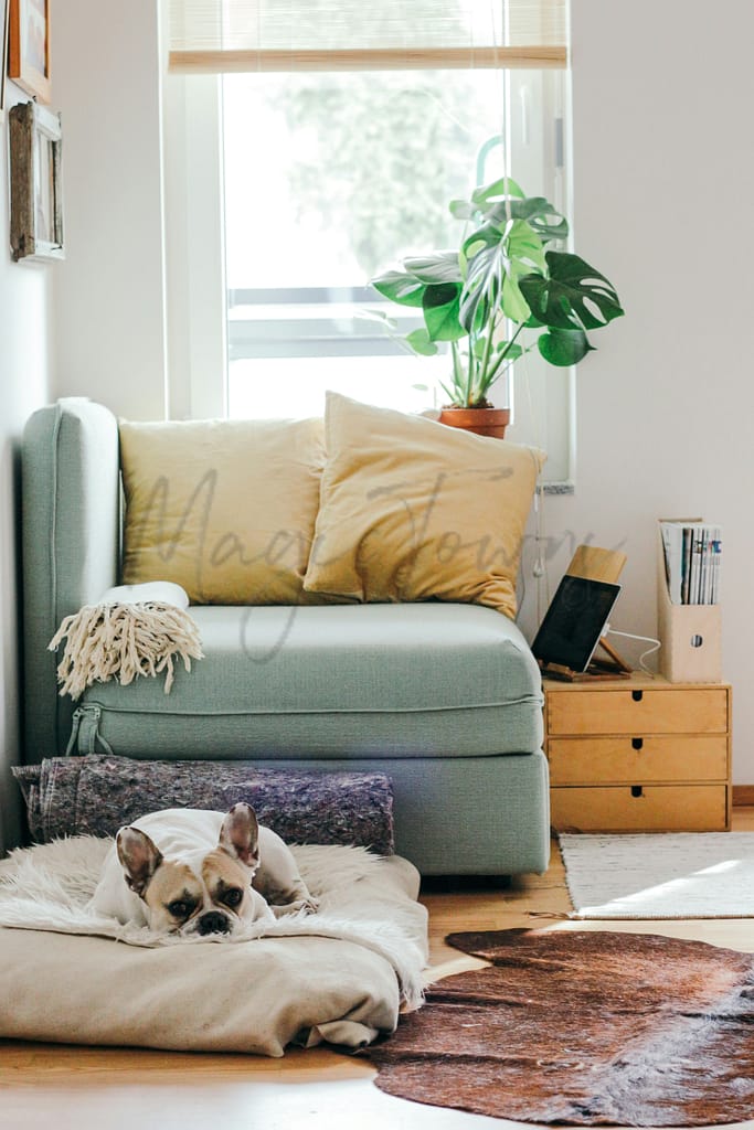 A Comprehensive Rental Guide For Expats In Italy 8