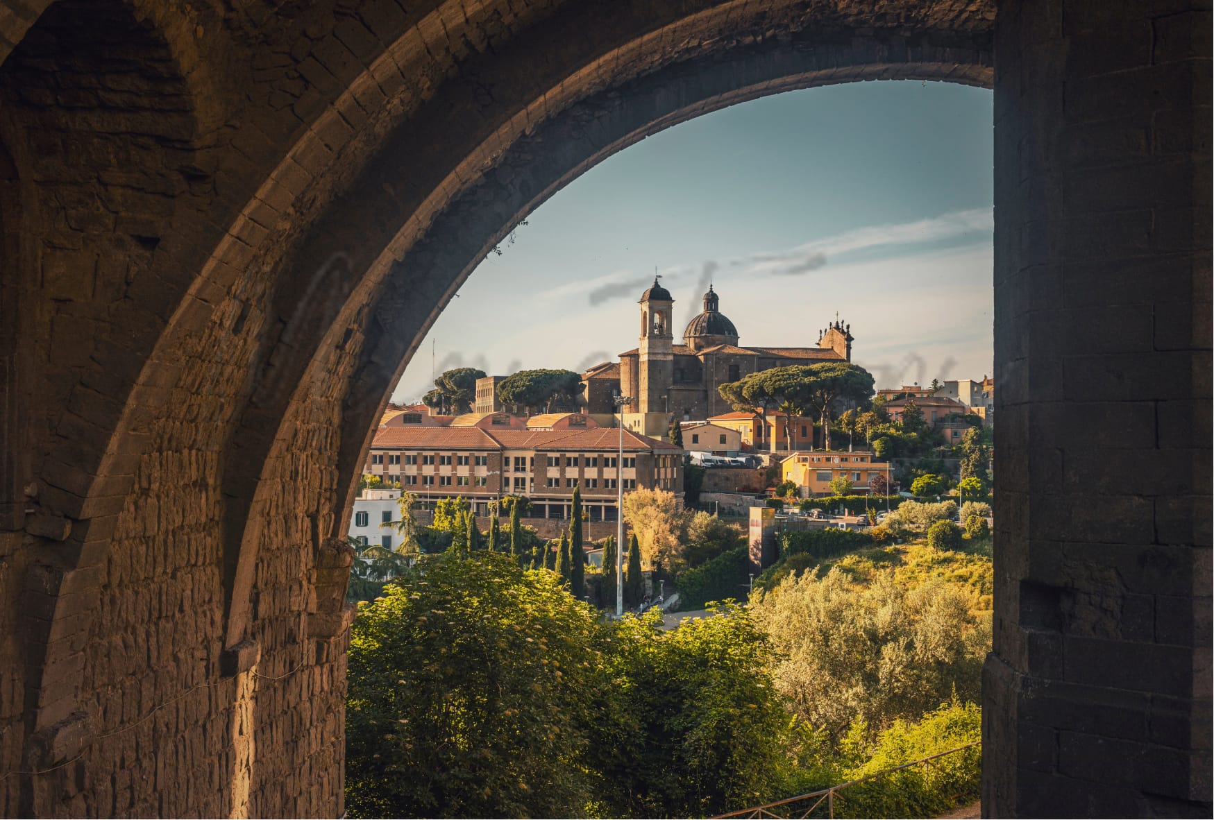 Living in viterbo