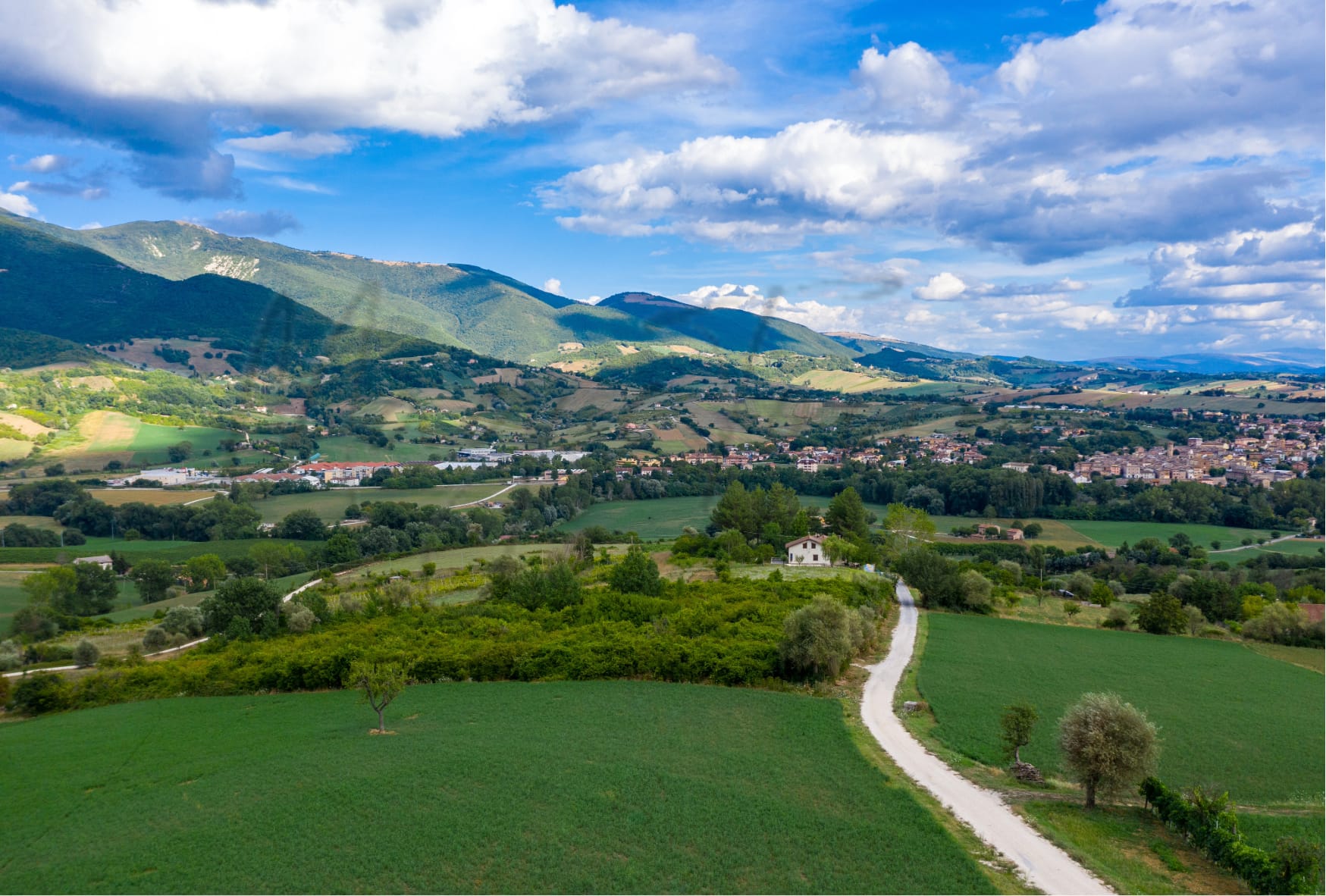 Sara Shepherd: Turning Love For Food Into A Life In Italy 5