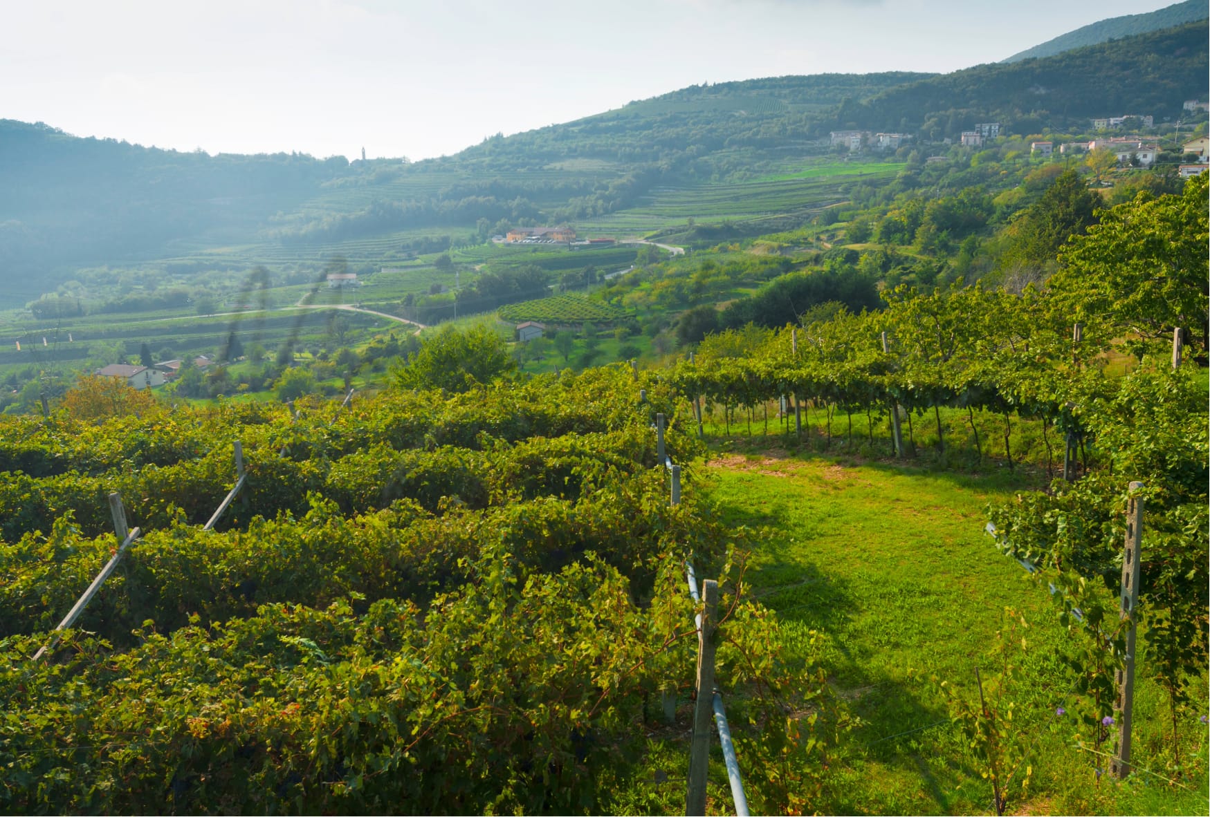 Where To Move In Italy Instead Of Tuscany: 5 Affordable Alternatives 10 Move in italy, tuscany