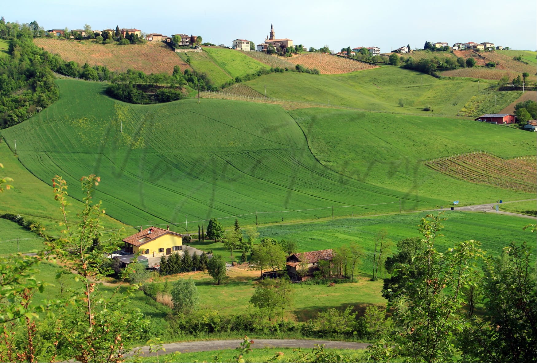 Cosa dice la gente di vivere a Piacenza 6 Vivere a Piacenza