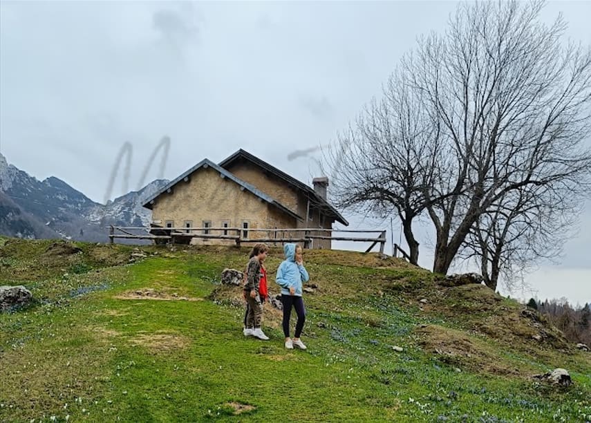 Farming In Italy: (Just) Quality Produce Or A New Life For Expats? 11 Farming in italy