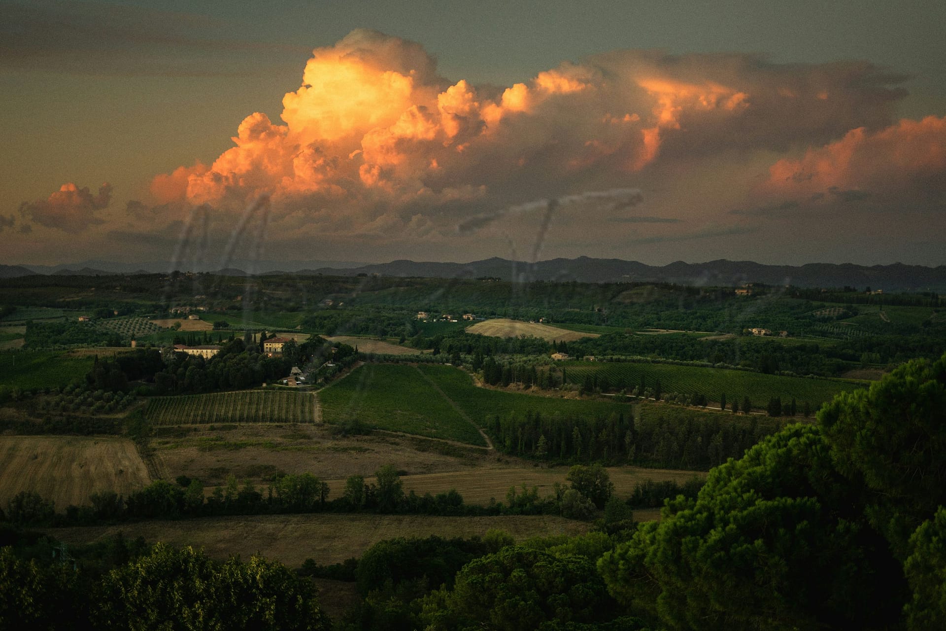 What People Say About Living In Siena 7 Living in siena