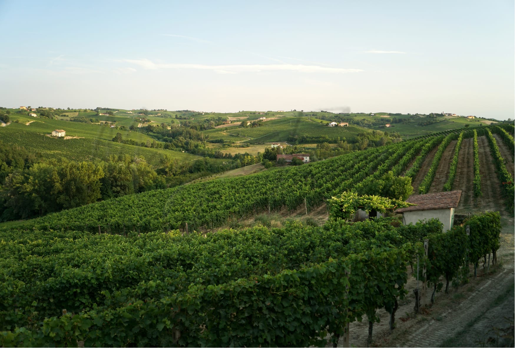 Where To Move In Italy Instead Of Tuscany: 5 Affordable Alternatives 8 Move in italy, tuscany