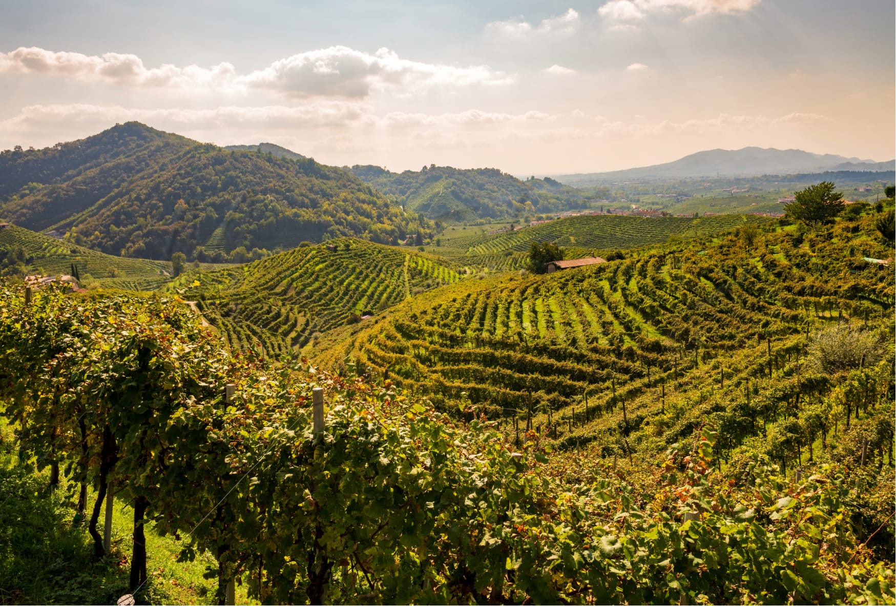 Hvor kan man købe et hjem i Norditalien for under 100.000 euro 7 Hjem i Norditalien, hjem i Italien